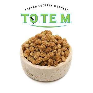 DUT KURUSU MALATYA
