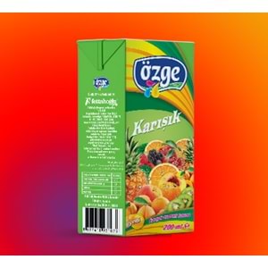 ÖZGE KARIŞIK MEYVE AROMALI İÇECEK 200ML*27AD.