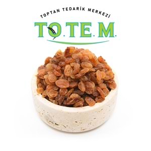 ÜZÜM SARI İZMİR